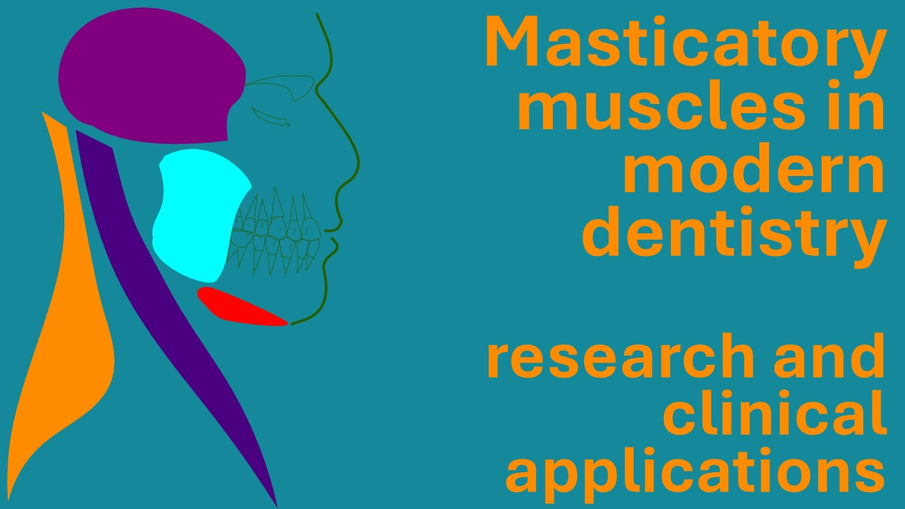 Come e quanto reclutiamo i muscoli masticatori quando serriamo i denti?